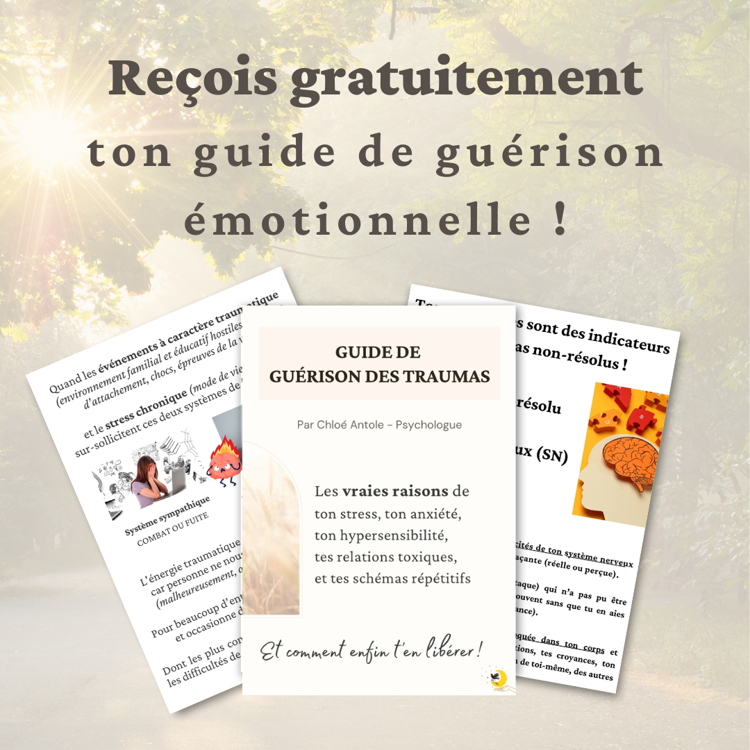 Ebook Guérison des Traumas